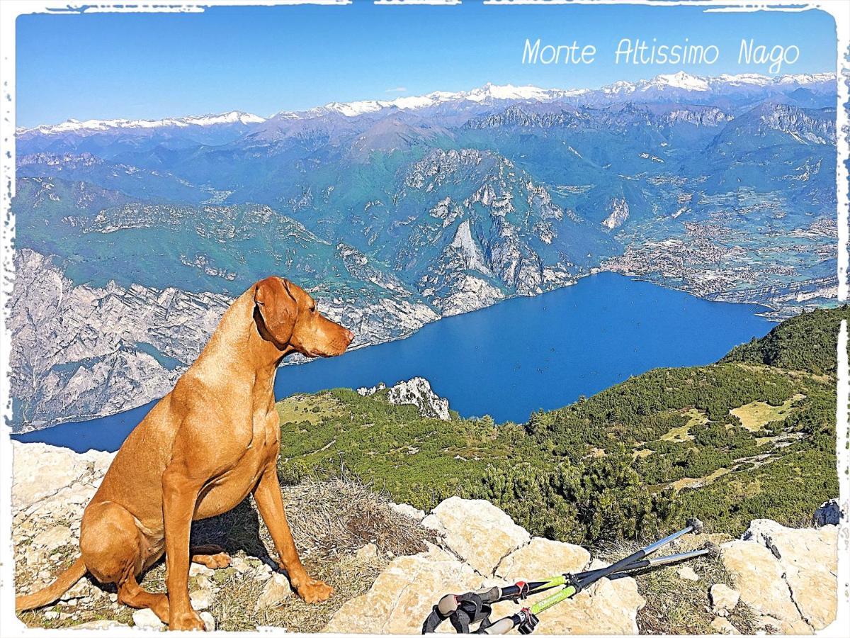 Viewlake Apartment Torbole Sul Garda Exteriör bild